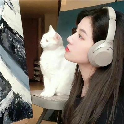 加州套房